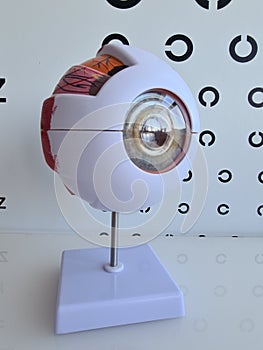 Model of human eye and optometric table closeup