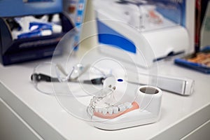 Model of human jaw with teeth, electrical