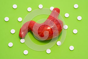 The model of the human stomach in the correct anatomical proportion is on a green background surrounded by tablets forming an orna