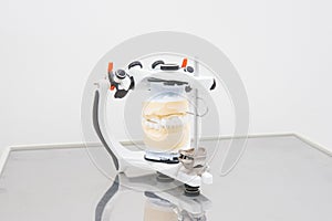 Model of the jaw in the articulator in the dental laboratory white background