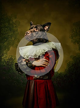 Model like medieval royalty person in vintage clothing headed by dog head on dark vintage background.