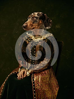 Model like medieval royalty person in vintage clothing headed by dog head on dark vintage background.