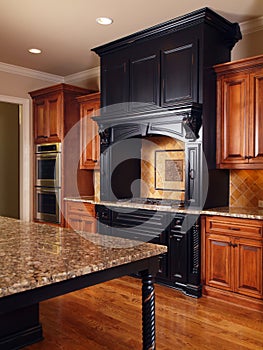 Model Luxury Home Interior Kitchen