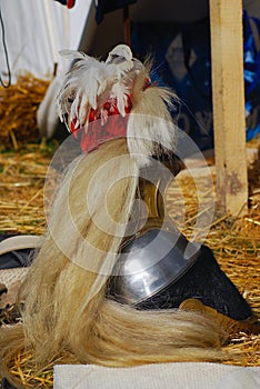 Model of a military helmet decorated by plumages.