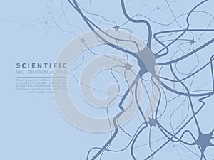 Model of neural system