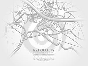 Model of neural system