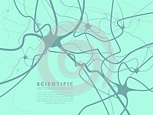 Model of neural system