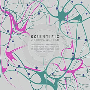 Model of neural system