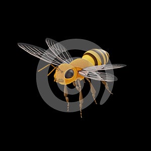 Model for one bee isolated from black background 3D cartoon character for bee with facial and body hair along with yellow and