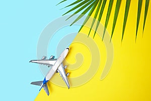 Model plane airplane or plane and tropical green palm leaves on yellow and blue background.