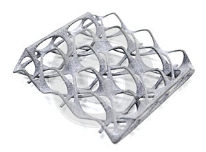 Model printed on 3D printer isolated on white background.