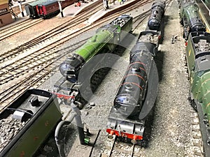 Model railway locomotives in their siding photo