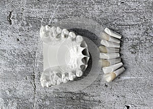 Model from refractory gypsum according to Geller for the manufacture of dental veneers, crowns and implants