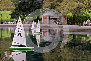 Model sailboat in park pond