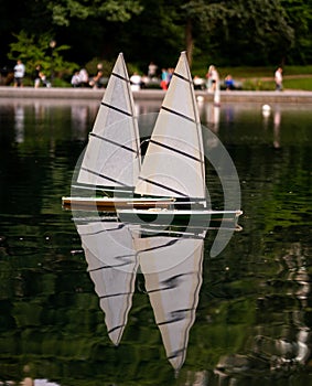 Model sailboat in park pond