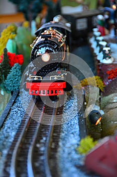Model Steam Train
