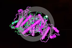 Model structure of the protein molecule.