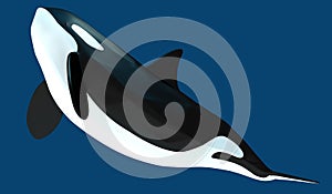 A model of a stylized killer whale. 3D illustration.