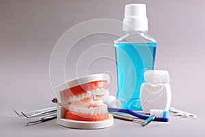 model of teeth and dental instruments and dental care products