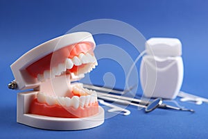 model of teeth and dental instruments and dental care products