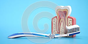 Model of tooth with arrow, tooth brush and tooth paste on blue background. Teeth protection concept