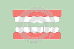 model tooth of healthy teeth - dental cartoon vector flat style