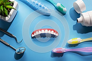 Model upper jaw prosthesis, toothpaste, toothbrush and dental tools
