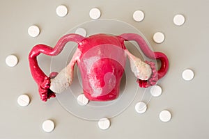 Model of uterus with appendages - fallopian tubes and ovaries is surrounded by white pills or drugs on gray background closeup. Ph photo