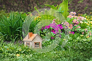 Model of a wooden house on the grass among flowers and plants, the concept of garden and park design, a cozy country house, constr