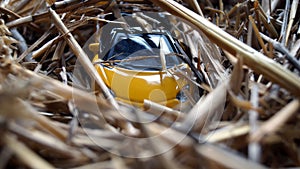 Model of a yellow sports car in the straw