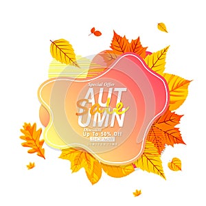 Modern abstract autumn background with leaves for sale season promotion