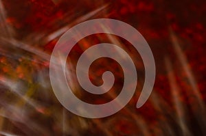 MODERN ABSTRACT FINE ART 03