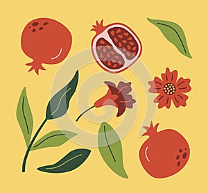 Modern abstract illustration pomegranate with leaves, branches and flowers. Fruit pattern. Vector design for card.