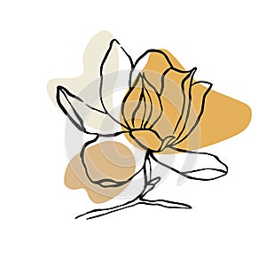 Modern abstract shapes vector background or layout. Contour line drawing flower of magnolia.  Modern minimalism art, aesthetic con