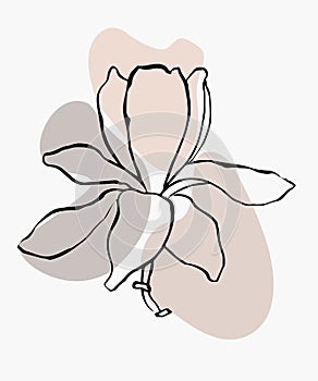 Modern abstract shapes vector background or layout. Contour line drawing flower of magnolia.  Modern minimalism art, aesthetic con