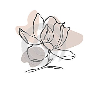 Modern abstract shapes vector background or layout. Contour line drawing flower of magnolia.  Modern minimalism art, aesthetic con