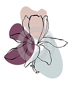 Modern abstract shapes vector background or layout. Contour line drawing flower of magnolia.  Modern minimalism art, aesthetic con