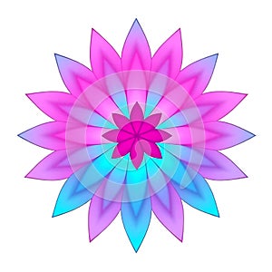 Stylish Petal-Based Abstract Emblem Design photo