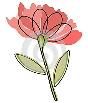 Modern abstract vector hand drawing flower linear art. Carnation, minimalism. Transparent background, gentle pink-green