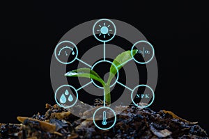 A modern Agricultural farm field with technology concept. Orange seedlings with digital display showing a 6 factors for plant good