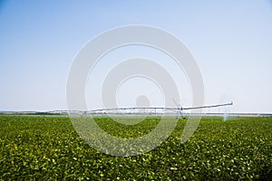 Modern agricultural irrigation system spraying in field