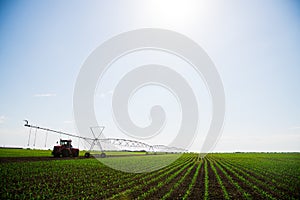 Modern agricultural irrigation system spraying in field