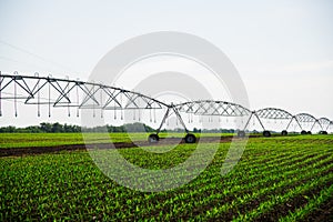 Modern agricultural irrigation system spraying in field