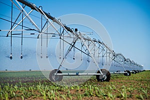 Modern agricultural irrigation system spraying in field
