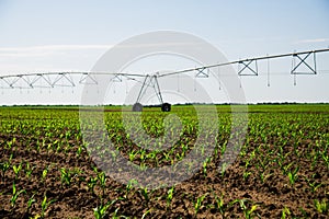 Modern agricultural irrigation system spraying in field