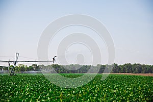 Modern agricultural irrigation system spraying in field