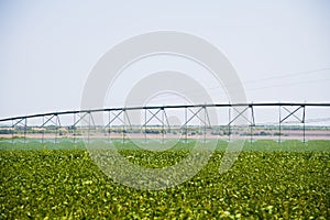 Modern agricultural irrigation system spraying in field