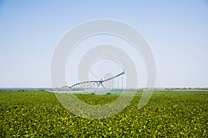 Modern agricultural irrigation system spraying in field