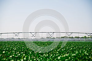 Modern agricultural irrigation system spraying in field