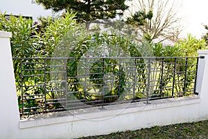 Modern aluminum fence of suburban house with garden view